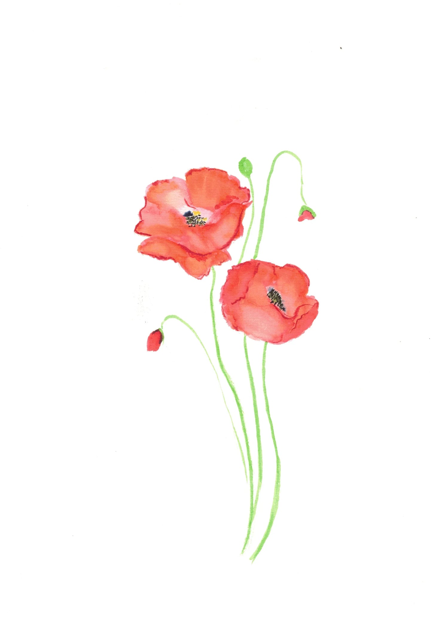 Aquarelle œuvre Originale Numérique 218 - Laure Leprince - Artiste Peintre
