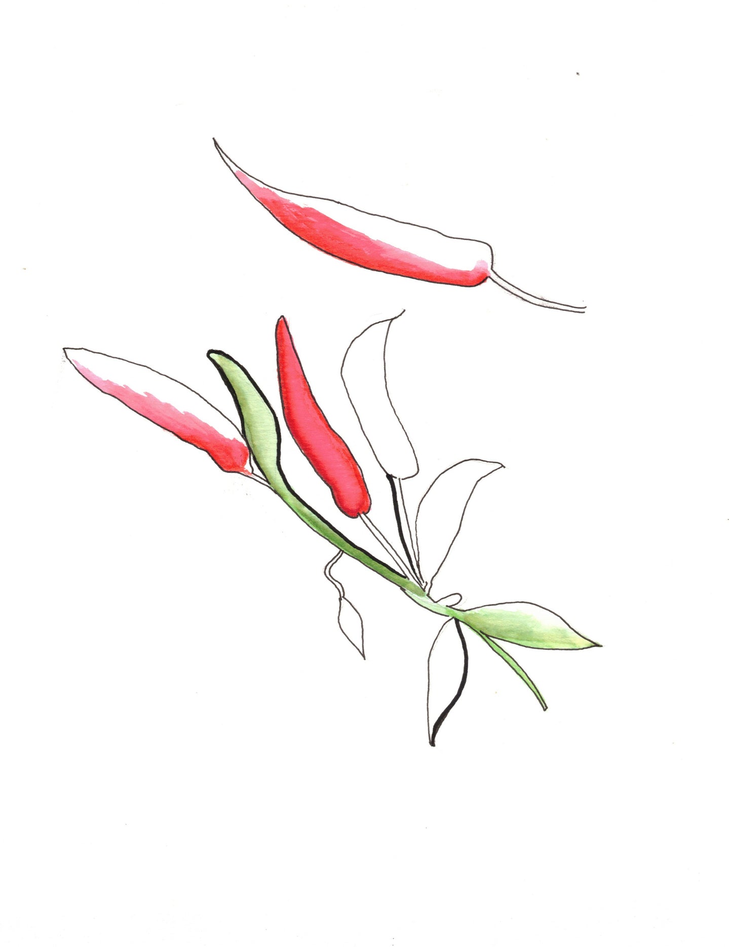 Aquarelle œuvre Originale Numérique 210