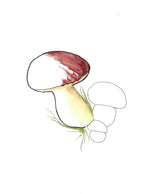 Aquarelle œuvre Originale Numérique 214