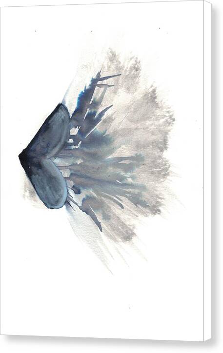 Shadow2 - Canvas Print