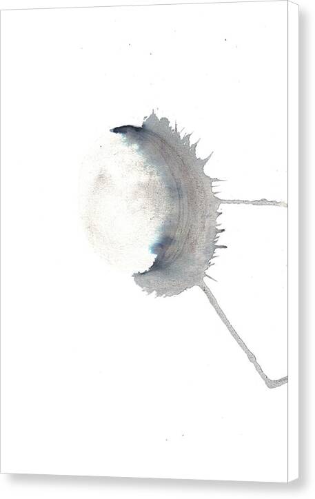 Shadow3 - Canvas Print