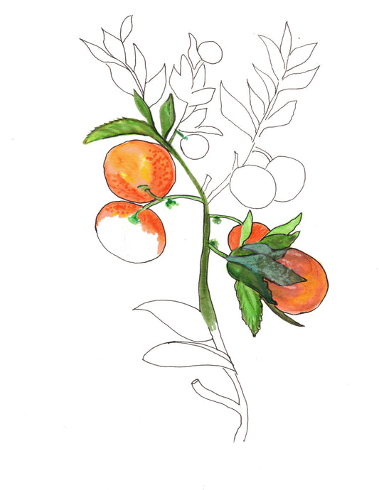 Aquarelle œuvre Originale Numérique 206