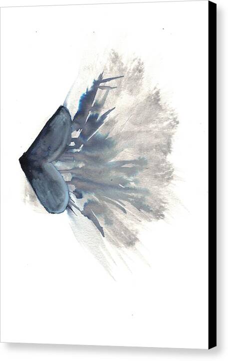 Shadow2 - Canvas Print