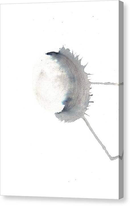 Shadow3 - Canvas Print