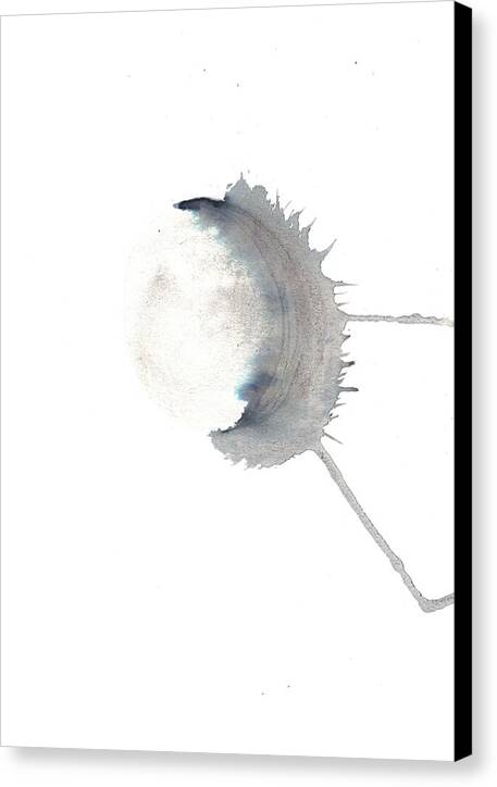 Shadow3 - Canvas Print