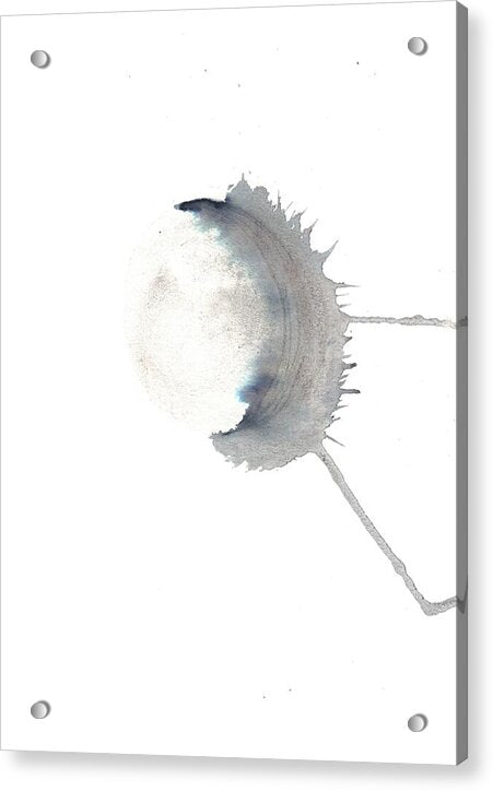 Shadow3 - Acrylic Print